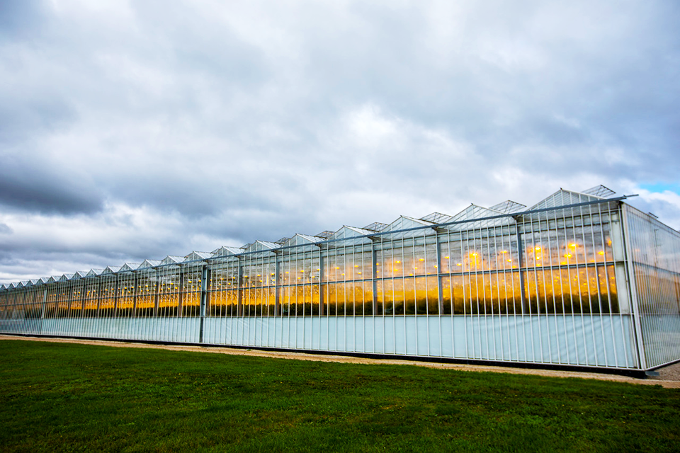 Great Northern Hydroponics’ greenhouse